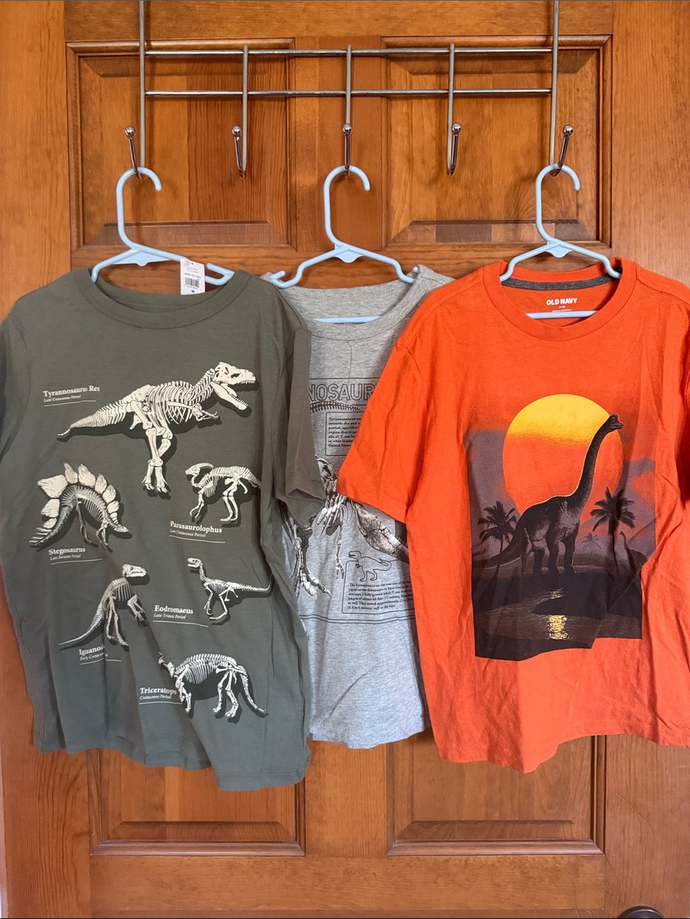 Gap & Old Navy graphic dinosaur shirts, M/8